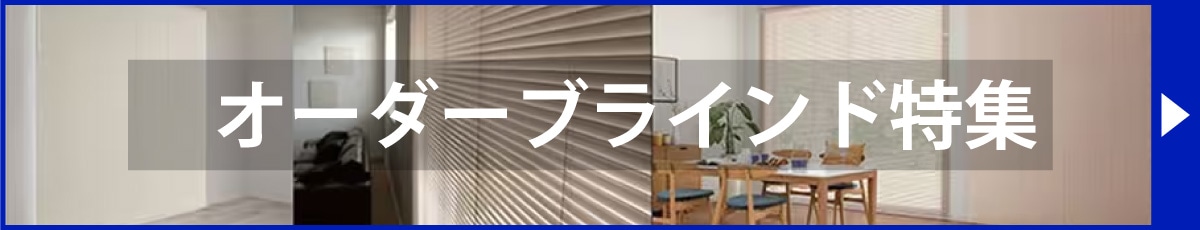 �I�[�_�[�u���C���h���W