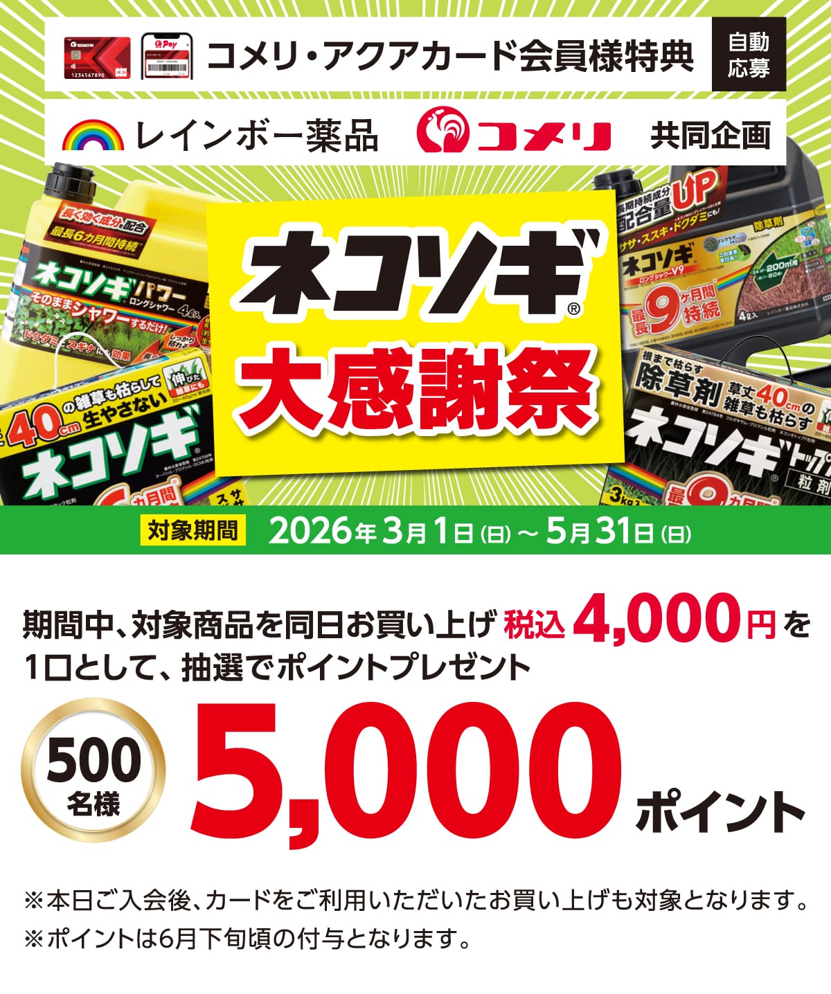 ���C���{�[��i�@�l�R�\�M�労�ӍՁ@2026�N3��1��(��)�`5��31��(��)�̃L�����y�[�����Ԓ��A�Ώۏ��i�𓯓��������グ�ō�4,000�~�ȏ��1���Ƃ��Ē��I�Ń|�C���g�v���[���g�I����ɃR�b�RPay�̓o�^�Ō���10�{�I