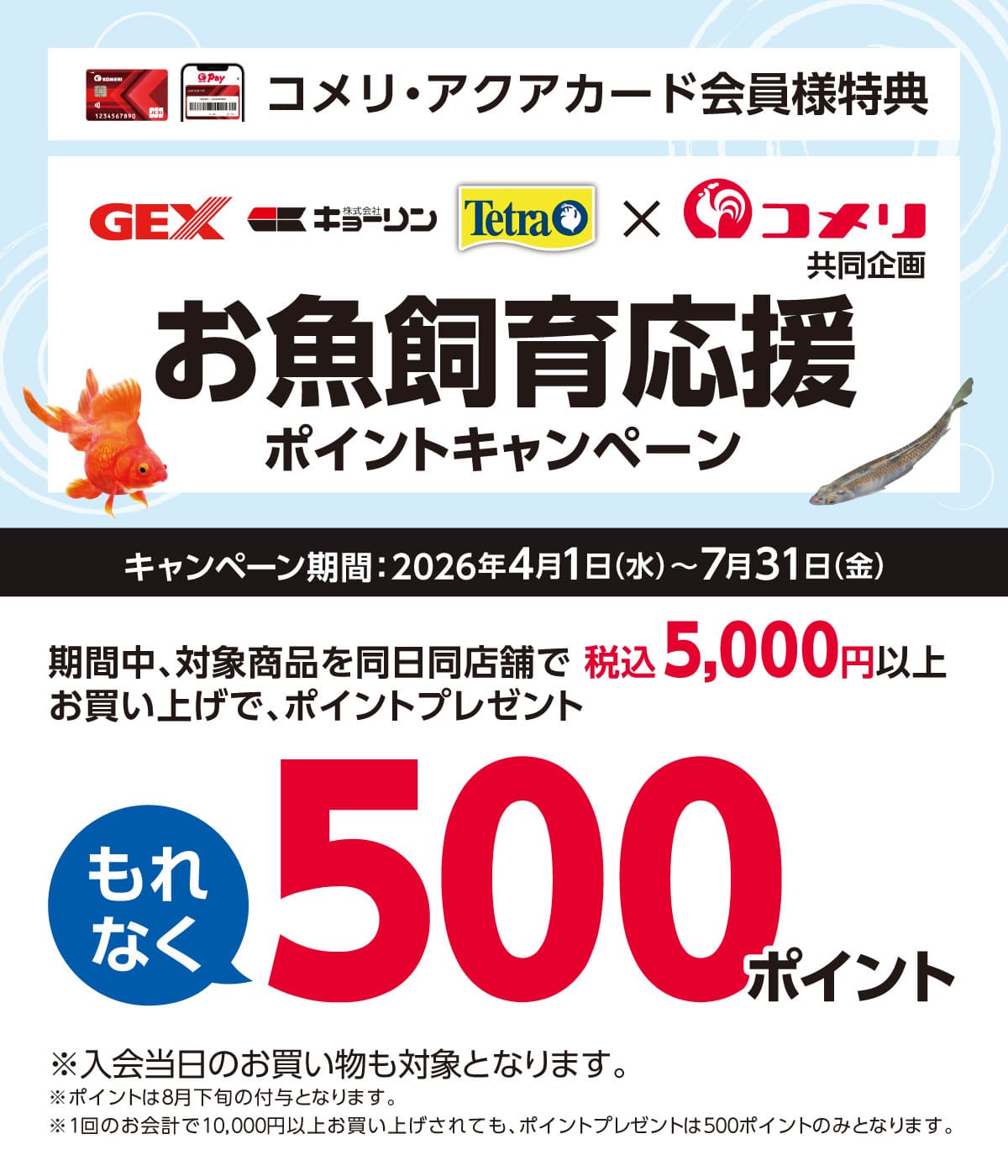 ジェックス・キョーリン・テトラ　お魚飼育応援ポイントキャンペーン　2026年4月1日(水)～7月31日(金)のキャンペーン期間中、対象商品を同日同店舗で税込5,000円以上お買い上げでポイントプレゼント