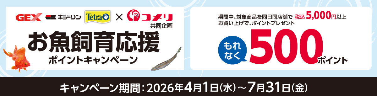 ジェックス・キョーリン・テトラ　お魚飼育応援ポイントキャンペーン