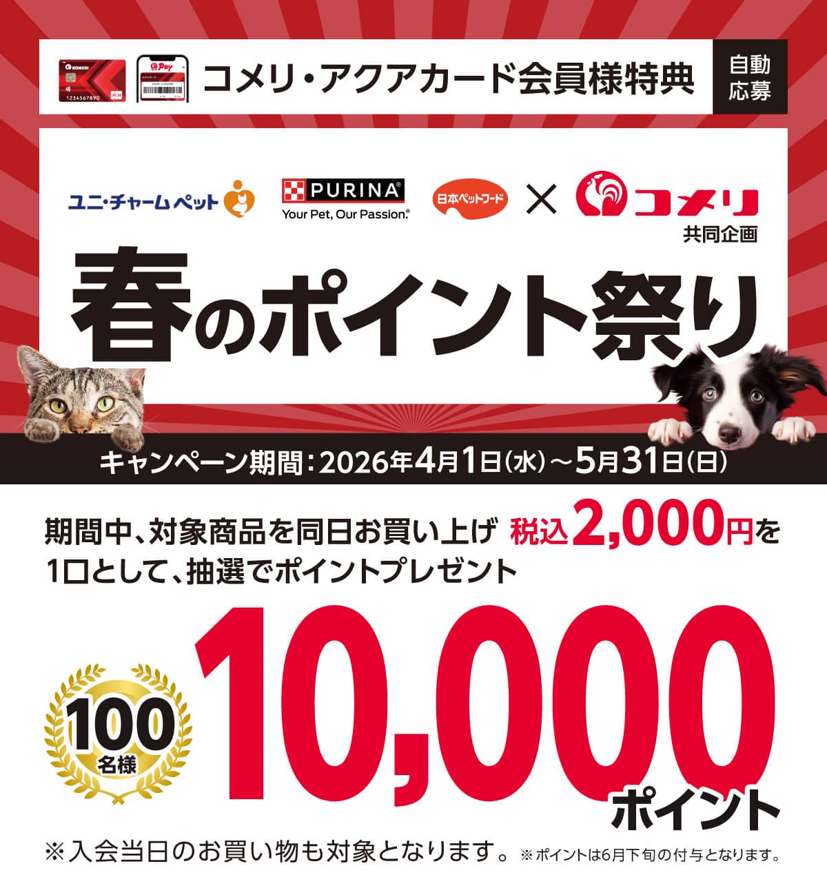 ユニ・チャームペット・ネスレピュリナ・日本ペットフード　春のポイント祭り　2026年4月1日(水)～5月31日(日)のキャンペーン期間中、対象商品を同日お買い上げ税込2,000円以上を1口として抽選でポイントプレゼント！さらにコッコPayの登録で口数10倍！