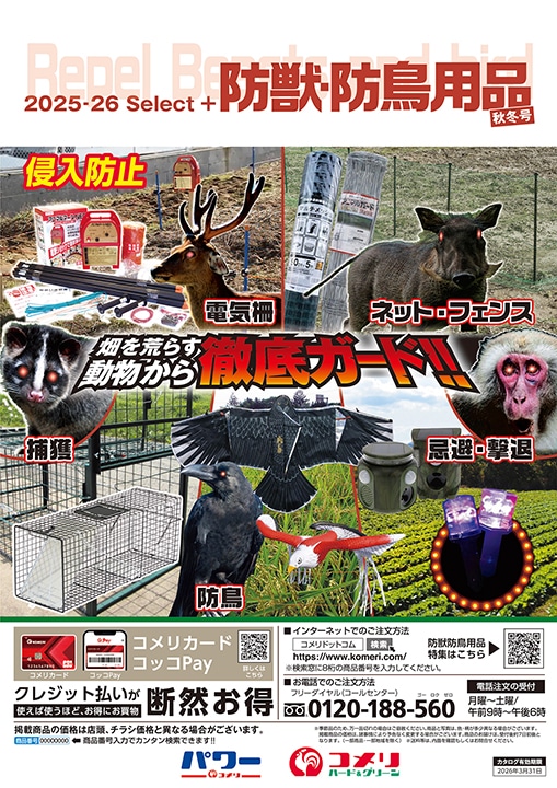 �h�b�E�h���p�i�@�H�~��