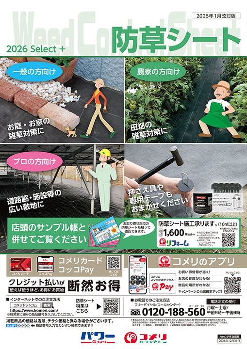 �h���V�[�g