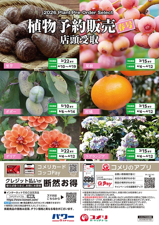 �A���\��̔� �t��