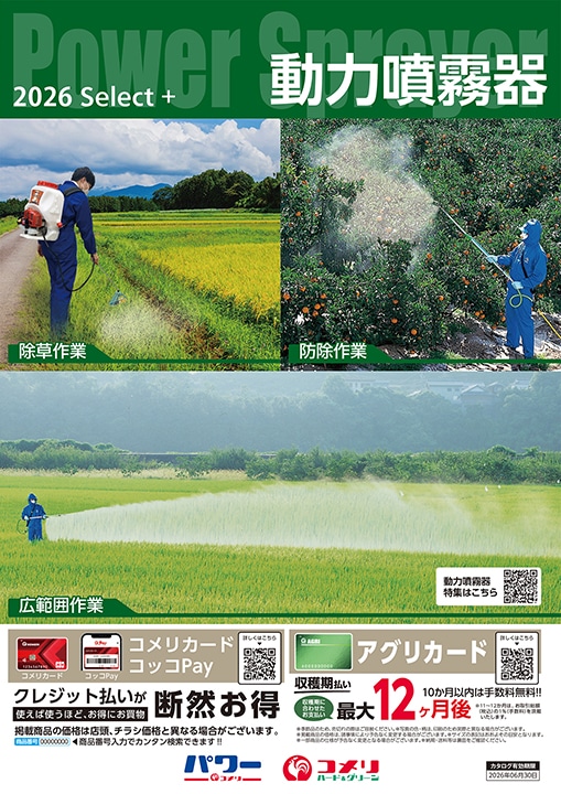 ���͕�����