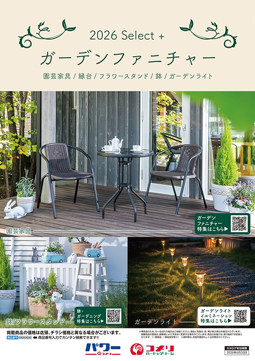 �K�[�f���t�@�j�`���[