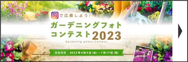 �K�[�f�j���O�t�H�g�R���e�X�g2023