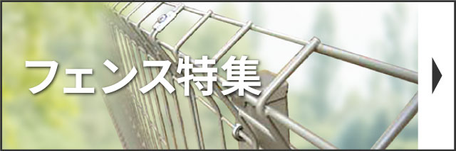 �t�F���X���W