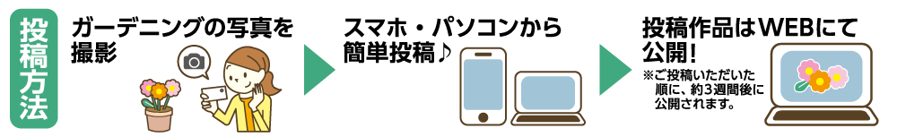 ���e���@�F�K�[�f�j���O�̎ʐ^���B�e�A�X�}�z�p�\�R������ȒP�ɓ��e�A���e��i��WEB�ɂČ��J�I