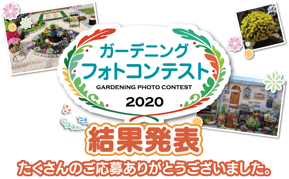 �K�[�f�j���O�t�H�g�R���e�X�g2020