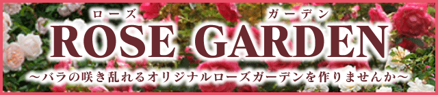 ���[�Y�K�[�f�����W