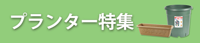 �v�����^�[���W