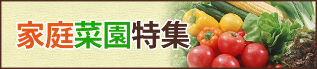 �ƒ�؉����W