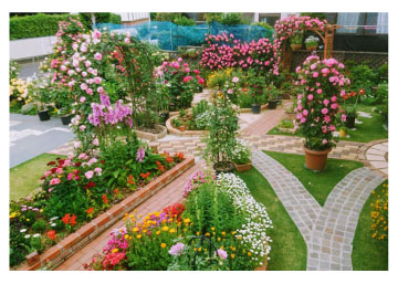 �K�[�f�j���O�t�H�g�R���e�X�g2021