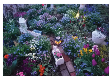 �K�[�f�j���O�t�H�g�R���e�X�g2021