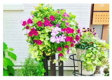 �K�[�f�j���O�t�H�g�R���e�X�g2021