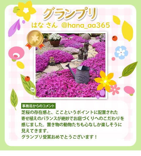 �y�O�����v���z@hana_aa365