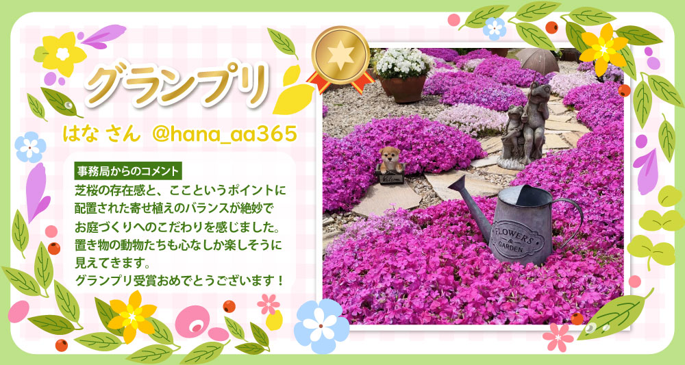 �y�O�����v���z@hana_aa365