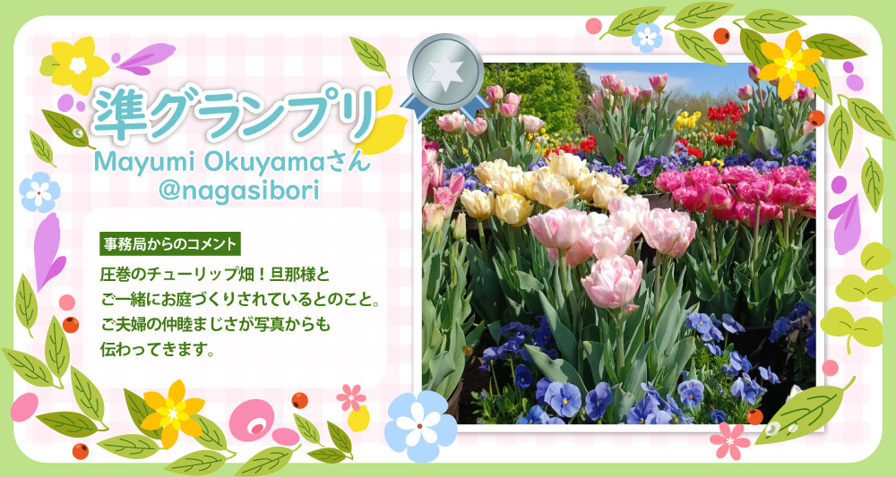 �y���O�����v���z@nagasibori