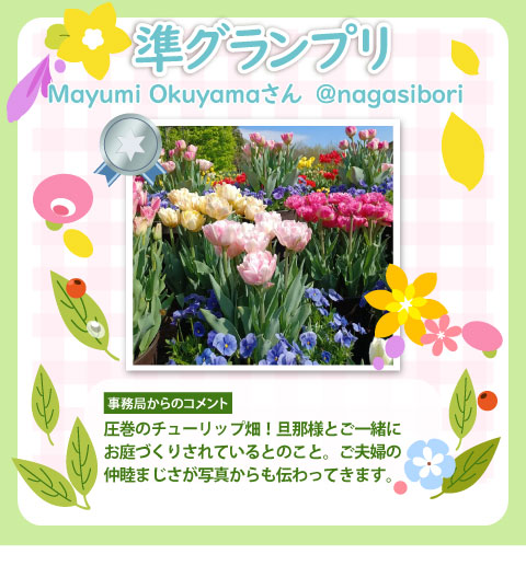 �y���O�����v���z@nagasibori