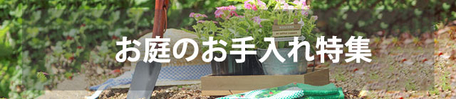 ����̂��������W