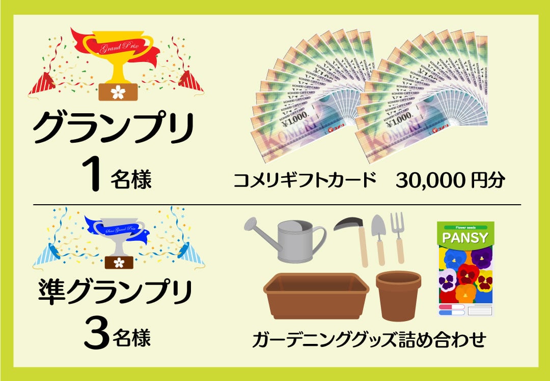 �O�����v��