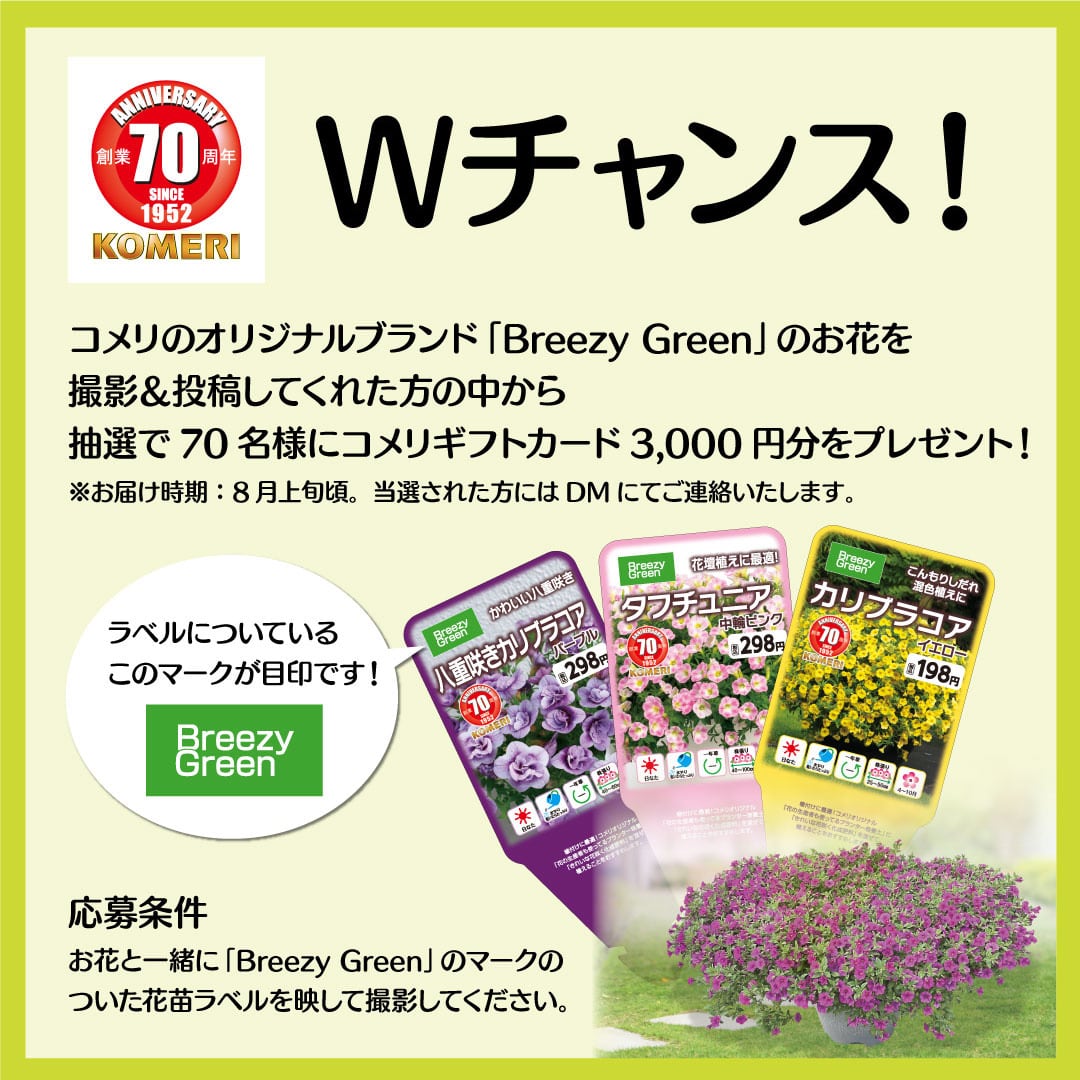 �K�[�f�j���O�t�H�g�R���e�X�g2022