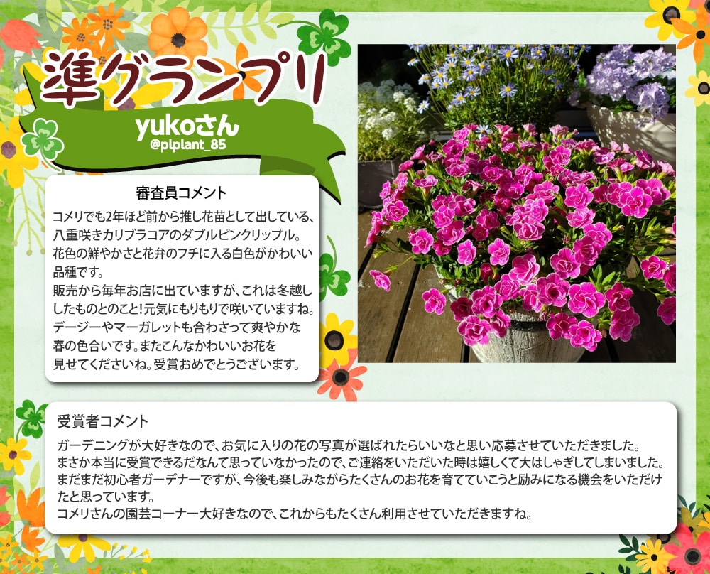 �y���O�����v���zyuko����