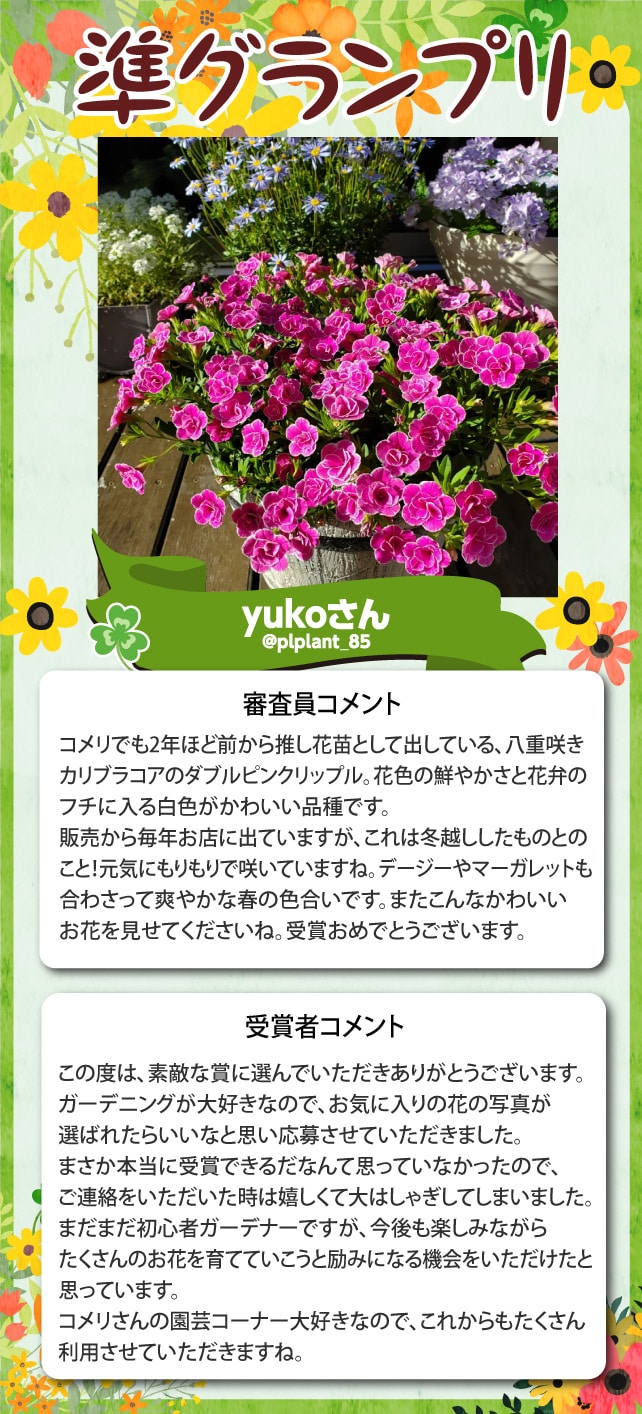 �y���O�����v���zyuko����