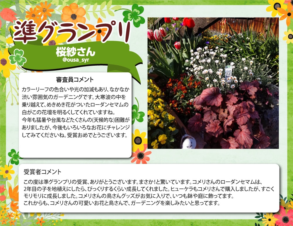 �y���O�����v���z���т���