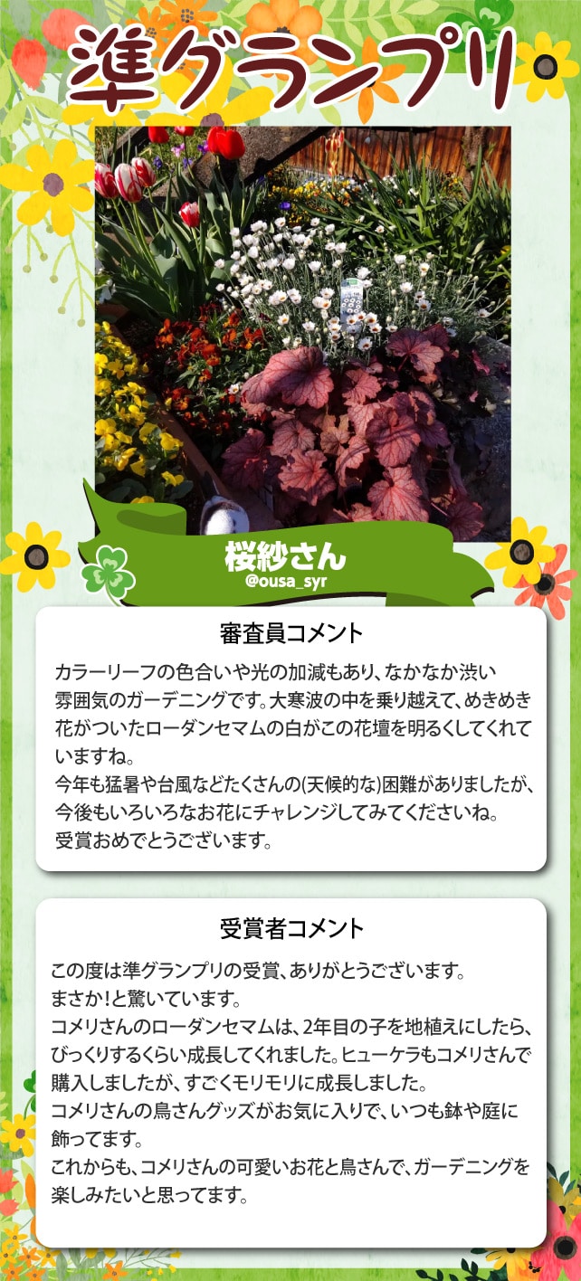 �y���O�����v���z���т���