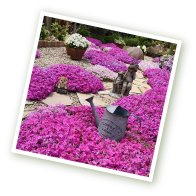 �|�����C�h