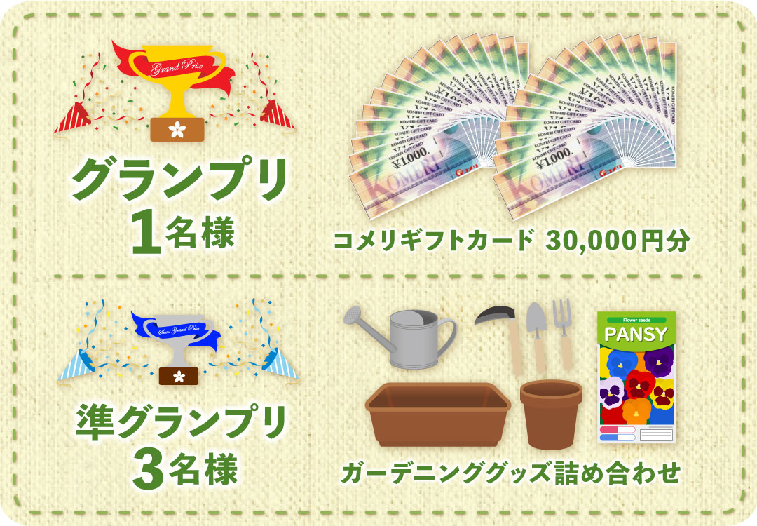 �O�����v��