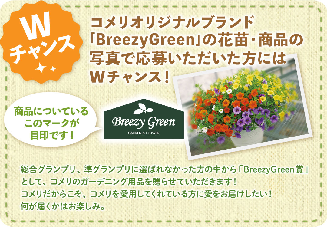 W�`�����X