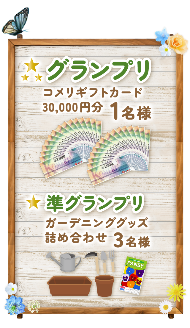 コンテスト賞品