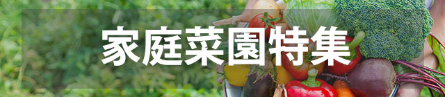家庭菜園特集