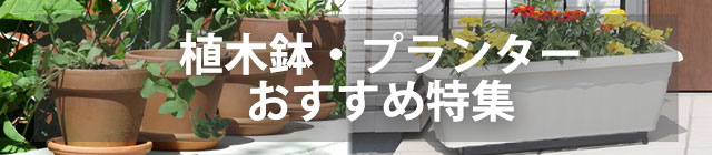 おすすめプランター特集