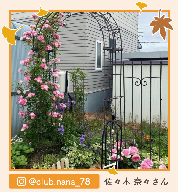 �y�O�����v����i�z���X�� �ށX����