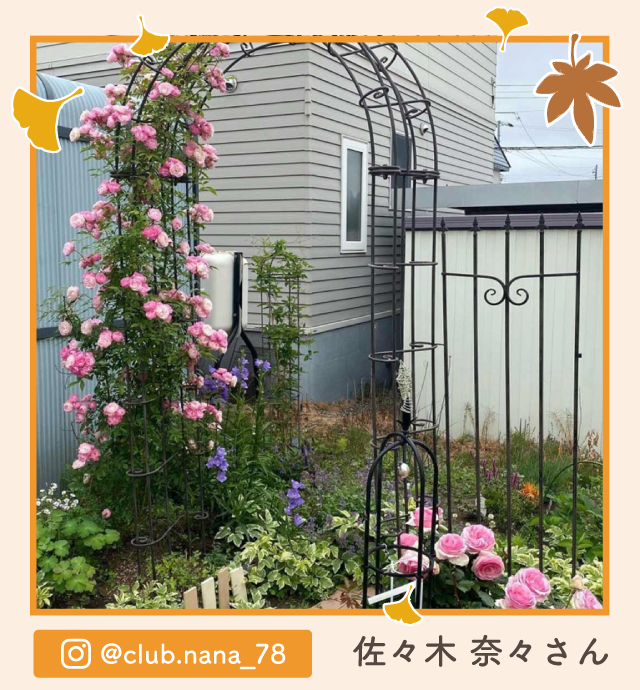 �y�O�����v����i�z���X�� �ށX����