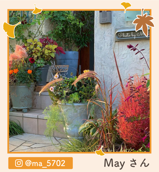 �y�O�����v����i�zMay����