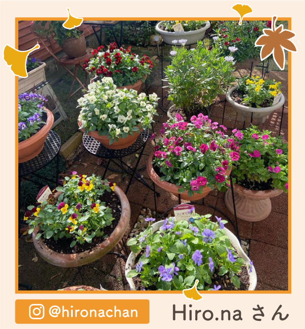 �y�O�����v����i�zHiro.na����