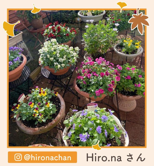 �y�O�����v����i�zHiro.na����