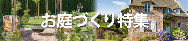 ����Â�����W