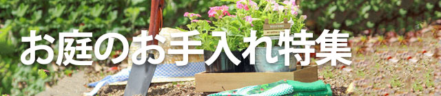 ����̂��������W