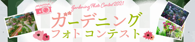 �K�[�f�j���O�t�H�g�R���e�X�g2021