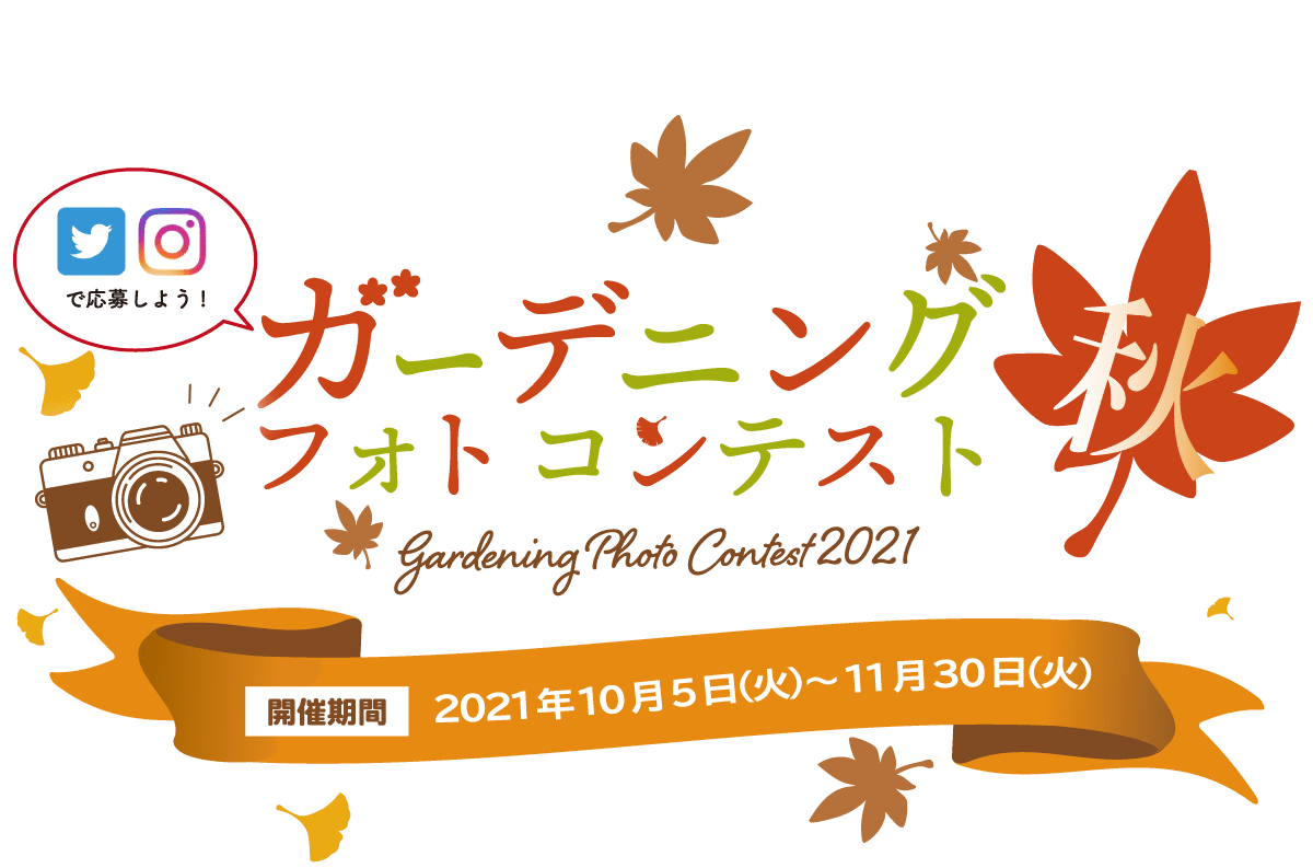 �K�[�f�j���O�t�H�g�R���e�X�g2021�|�H�|