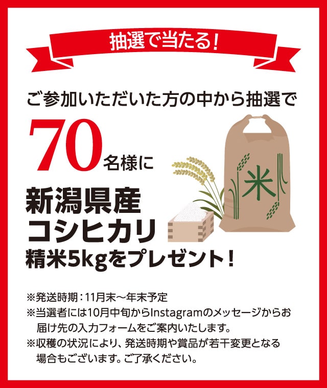 DIY�R���e�X�g2022