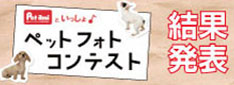 ペットフォトコンテスト2021