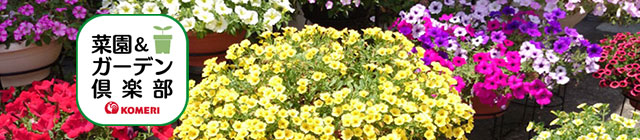 菜園＆ガーデン倶楽部