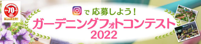 �K�[�f�j���O�t�H�g�R���e�X�g2022